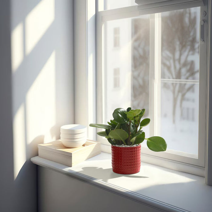 Compact red plant pot from IKEA, great for adding a pop of color to your indoor or outdoor decor, 9 cm -10574559