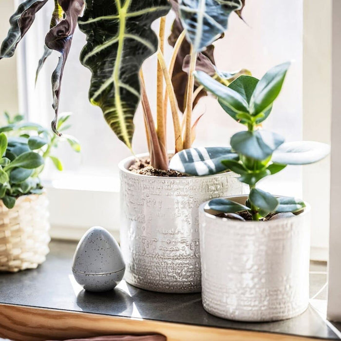 An affordable IKEA plant pot that's perfect for small spaces 50475779
