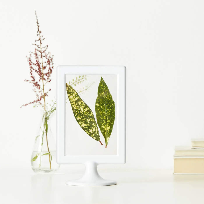 A collage photo frame that allows you to display multiple photos at once, creating a unique and personalized display   60167327