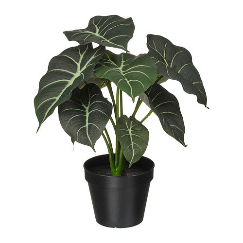 IKEA FEJKA artificial Alocasia plant in black pot - realistic 12cm fake elephant ear plant for indoor and outdoor decor