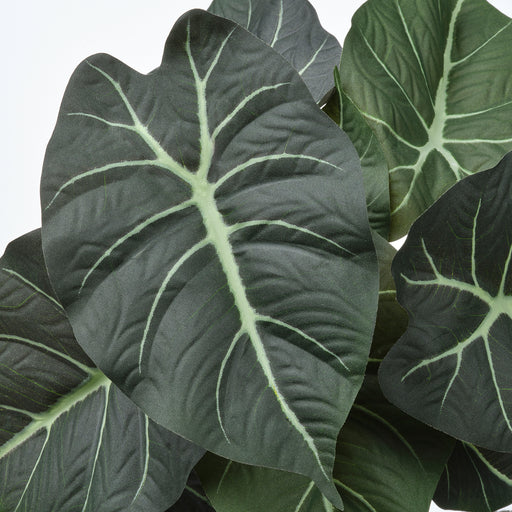 Close-up of FEJKA artificial Alocasia leaves showing realistic veining and texture