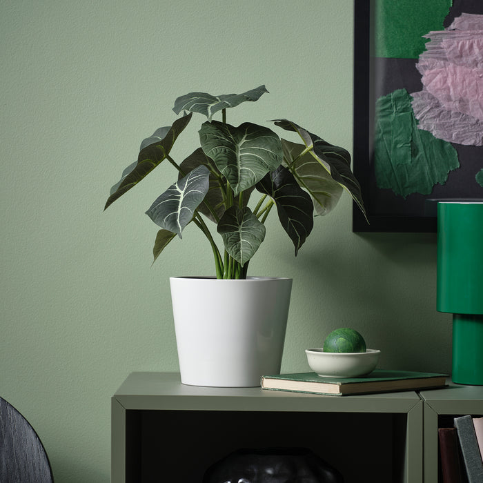 Low-maintenance FEJKA artificial potted Alocasia plant by IKEA - lifelike green leaves perfect for desks or shelves