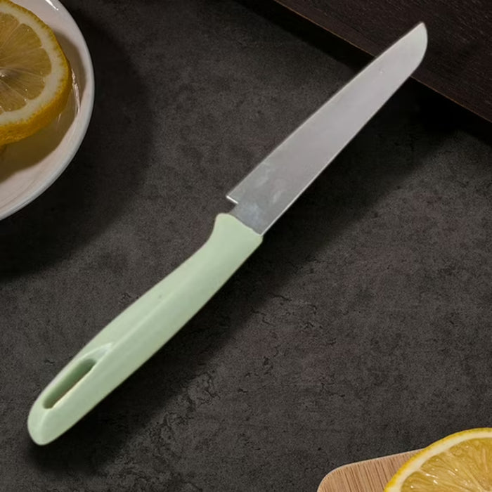 Digital Shoppy Fruit Peeling Knife — Plastic Handle | Sharp Stainless Steel Blade