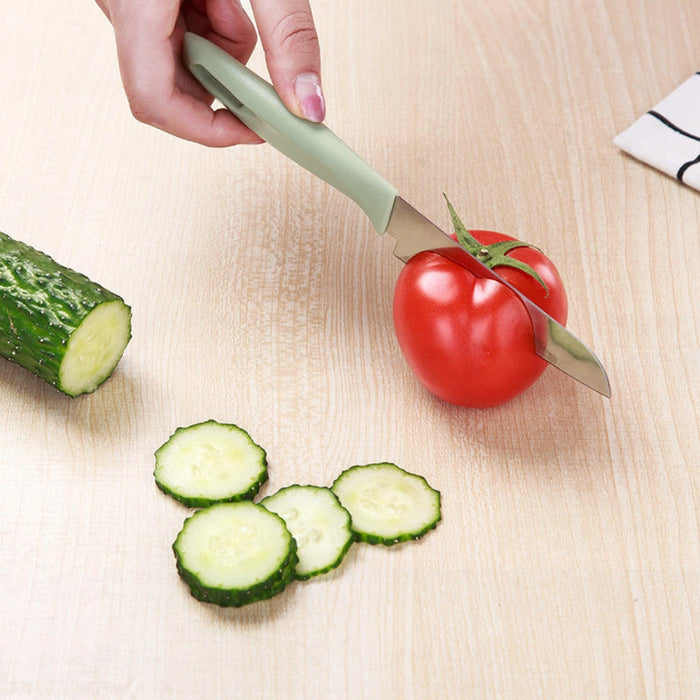 Digital Shoppy Fruit Peeling Knife — Plastic Handle | Sharp Stainless Steel Blade