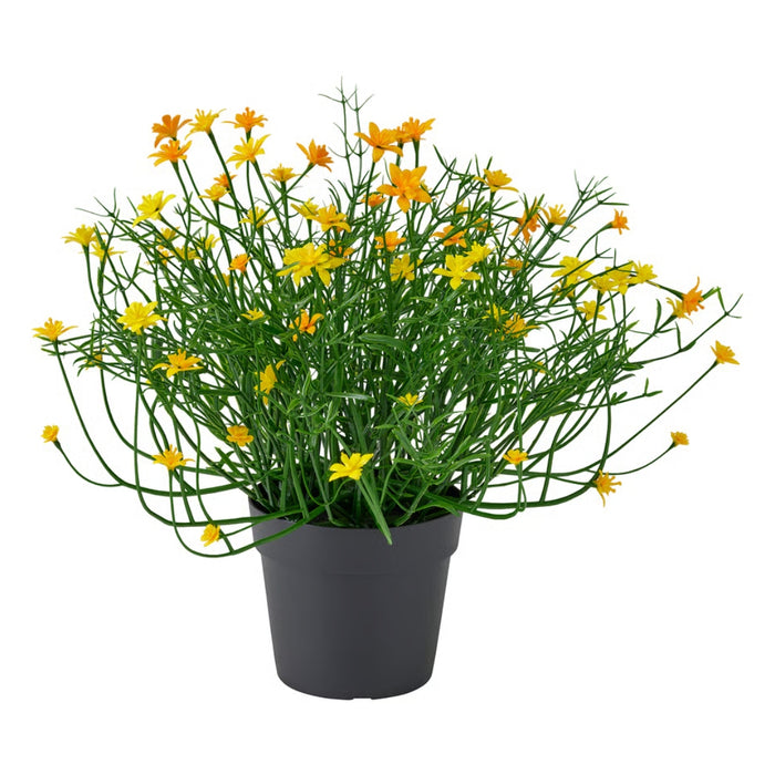 KEA FEJKA artificial plant with vibrant yellow flowers and thin green stems in a simple black plastic pot.