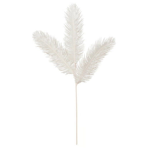 White decorative plant on a white background