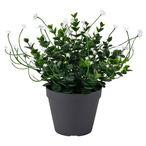 Artificial plant with small white flowers and dense green leaves in a matte black plastic pot, 12 cm.