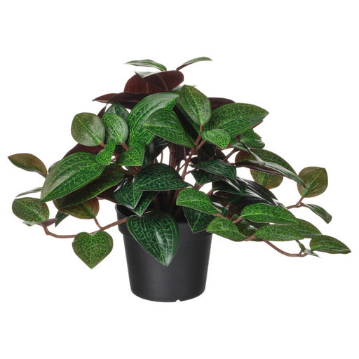 IKEA FEJKA artificial potted plant – jewel orchid with dark green leaves and white veining in black pot, 9 cm indoor/outdoor - 80600871