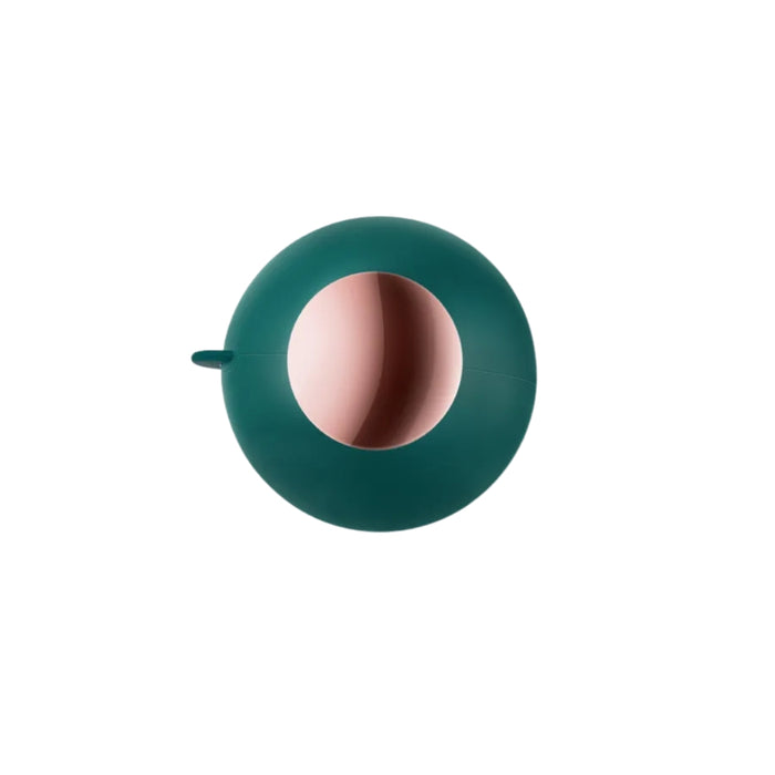Green circular object with a pink center on a white background