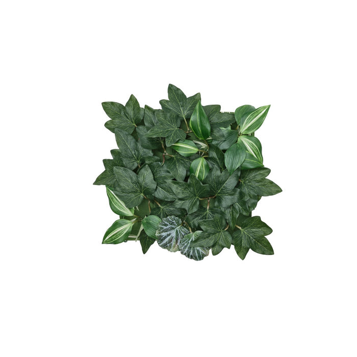IKEA FEJKA Artificial plant, wall mounted in/outdoor/foliage, 25x25 cm (9 ¾x9 ¾ ")