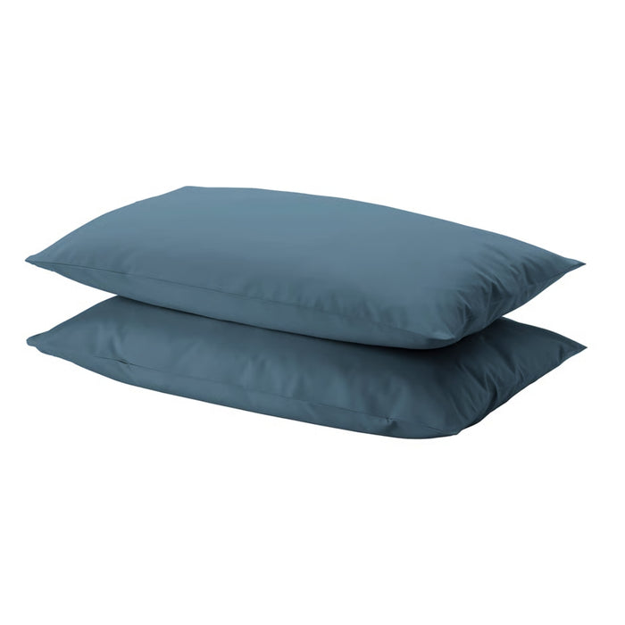 Two blue pillows on a white background