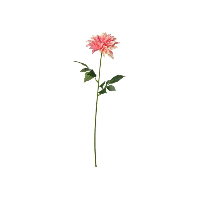 Single pink flower with green leaves on a white background