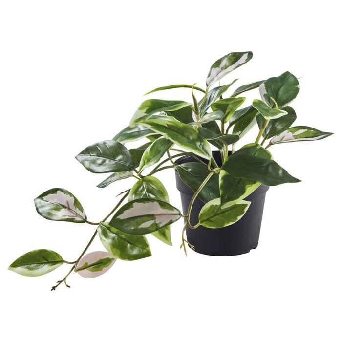 IKEA FEJKA artificial potted plant – wax plant hanging variety with trailing variegated leaves in black pot, 9 cm indoor/outdoor - 90614226