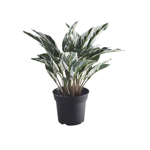 Lifelike IKEA FEJKA artificial Calathea plant in 15 cm pot