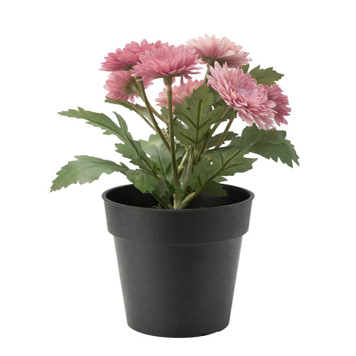 IKEA FEJKA artificial potted plant pink chrysanthemum flowers in black pot