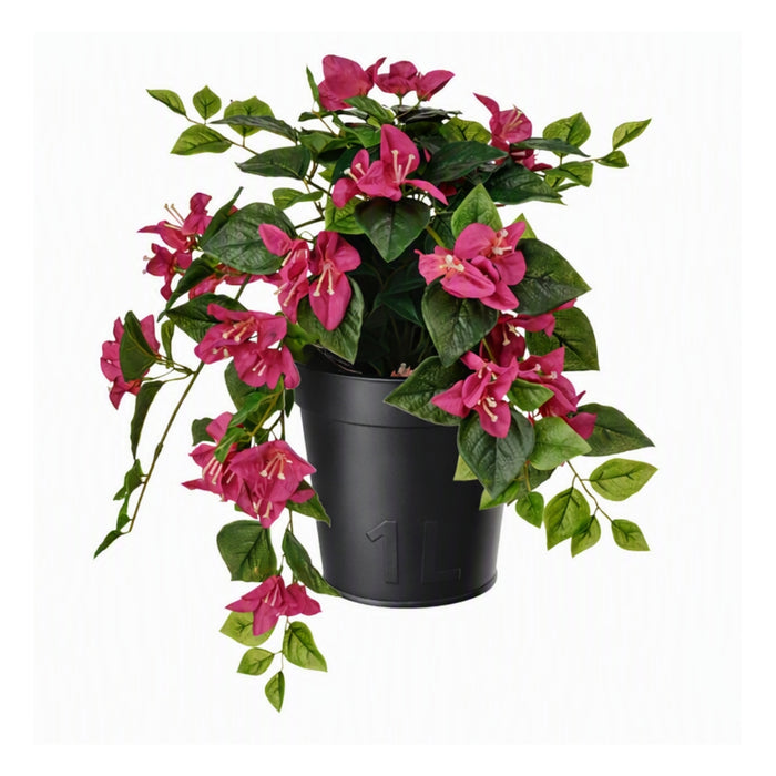 IKEA FEJKA Artificial Potted Plant Bougainvilla Pink 12 cm with ÅKERBÄR Plant Pot Anthracite 12 cm