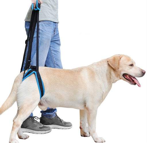 Blue pet leg strap walking support for dogs, size L. Designed to assist dogs with mobility issues by supporting their hind legs. Adjustable straps provide a secure fit, while the sturdy handle enables comfortable lifting. Ideal for post-surgery recovery or elderly dogs needing extra support-
