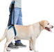 Blue pet leg strap walking support for dogs, size L. Designed to assist dogs with mobility issues by supporting their hind legs. Adjustable straps provide a secure fit, while the sturdy handle enables comfortable lifting. Ideal for post-surgery recovery or elderly dogs needing extra support-
