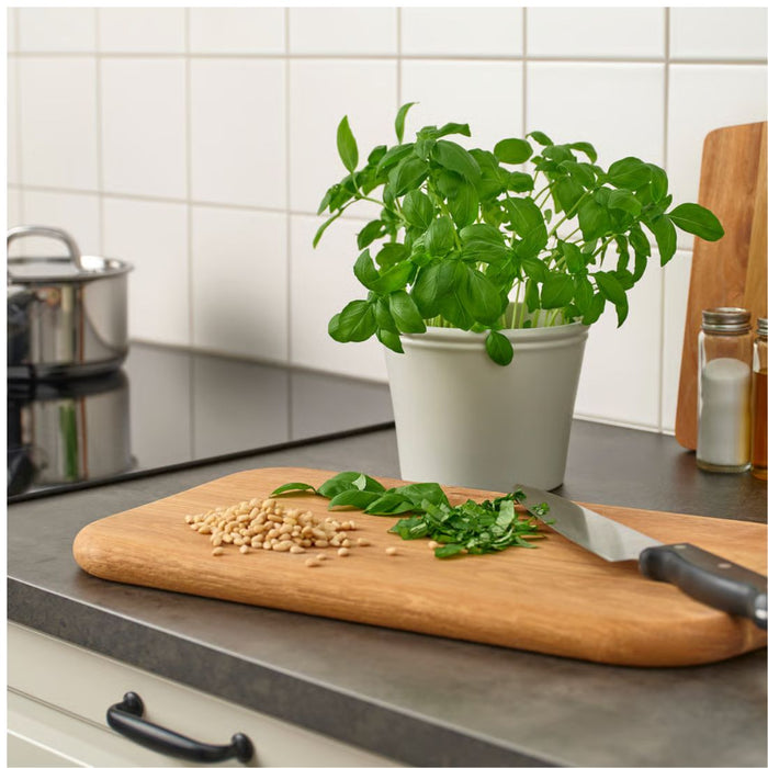 IKEA KÖRSBÄRSBJÖRK Plant pot, light grey-beige, 12 cm (4 ¾ ")