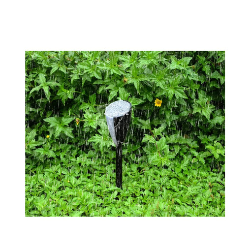 Sprinkler spraying water on green foliage