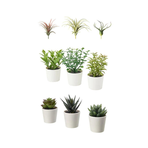 Set of potted plants on a white background
