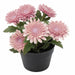 Close-up of IKEA FEJKA pink chrysanthemum artificial plant with green leaves