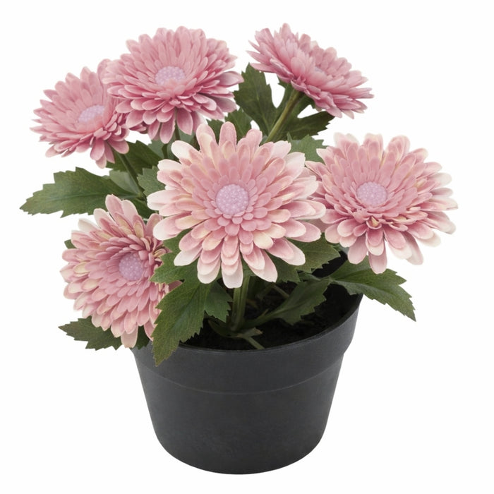 IKEA FEJKA Artificial Potted Plant, chrysanthemum, 9 cm with GRADVIS Plant Pot Light Pink, 9 cm 9 cm
