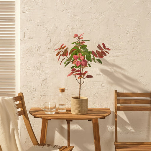 Potted artificial smoke tree placed on a wooden outdoor table in a bright, sunlit setting.