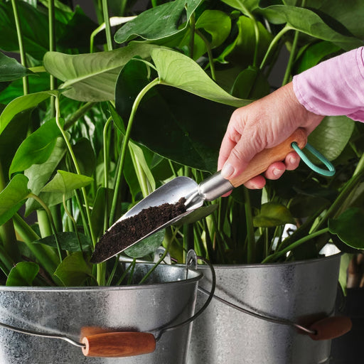 Person using a stainless steel trowel with birch handle to add soil to a bucket of leafy plants, highlighting practical gardening with durable tools.