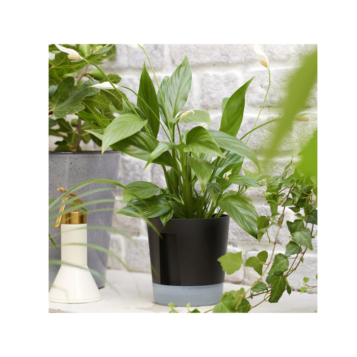 VÅRDTRÄD self-watering pot placed on a windowsill with indoor plant, modern transparent design