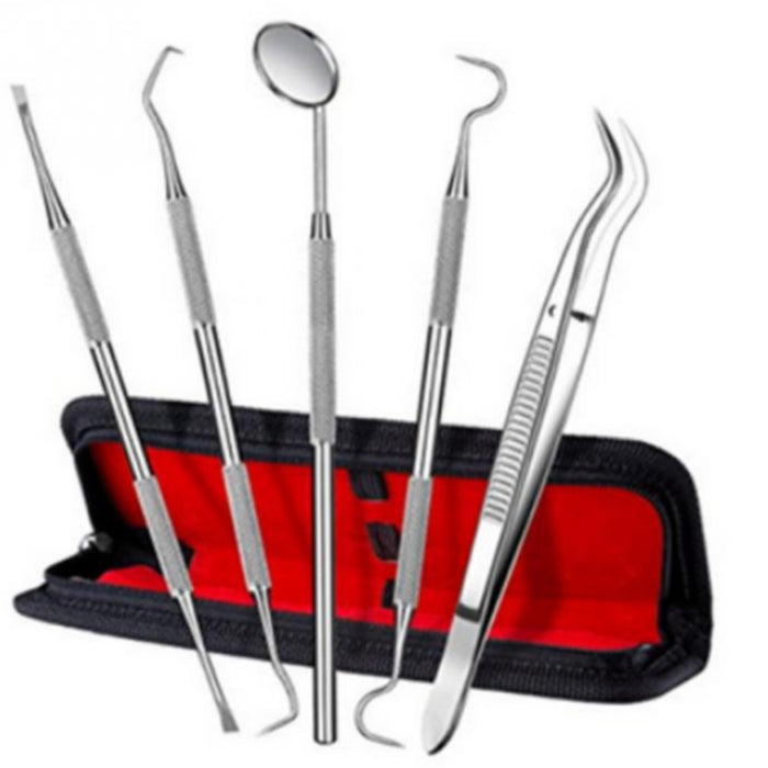 Digital Shoppy Dental Cleaning Kit – 5pcs Stainless Steel Tools for Oral Care