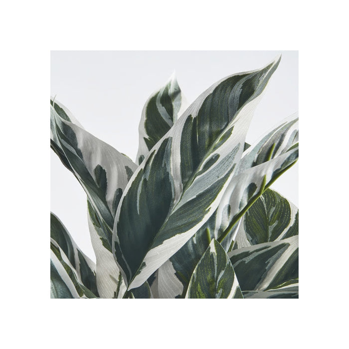 Close-up of realistic Calathea leaves on IKEA FEJKA faux plant