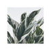 Close-up of realistic Calathea leaves on IKEA FEJKA faux plant