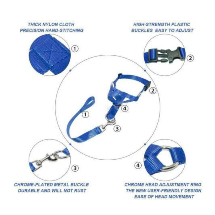 Digital Shoppy Explosion Proof Dog Leash & Pet Chest Strap Set for Medium & Large Dogs