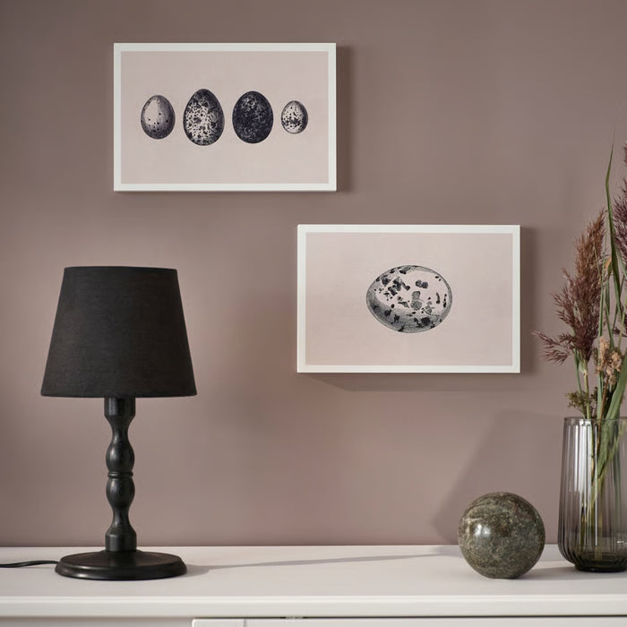 IKEA BJÖRNAMO Art Print on Hollow Wood Eggs 20x30 cm 2 Pack with IKEA ÄPPELTRÄD Frame Black 16.5x16.5 cm