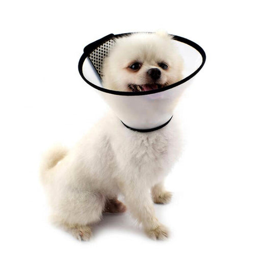 Adjustable dog recovery cone preventing licking wounds