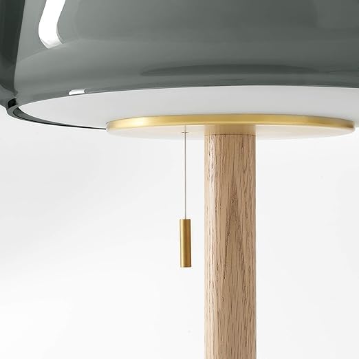 Close-up of a modern pendant light with wooden base and gold accent on a white background