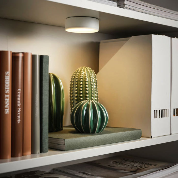 Spotlight illuminating kitchen shelf with bowls, jars, and labeled tea boxes in wooden organizers