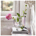 Glass vase with pink flower and green leaves on a stack of books in a softly blurred indoor setting
