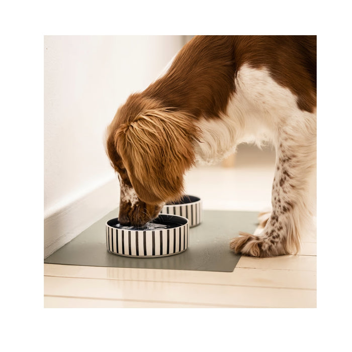 IKEA UTSÅDD Pet bowl, stripe pattern