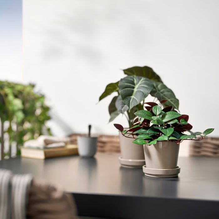 IKEA FEJKA artificial potted plant – jewel orchid in white pot on gray cabinet with abstract wall art and decorative bowl - 80600871