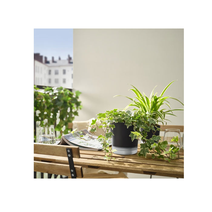 VÅRDTRÄD plant pot in outdoor garden setting with leafy plant, anthracite base and clear outer layer