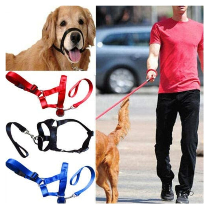 Digital Shoppy Explosion Proof Dog Leash & Pet Chest Strap Set for Medium & Large Dogs