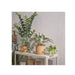 IKEA FEJKA artificial potted plant placed on a windowsill