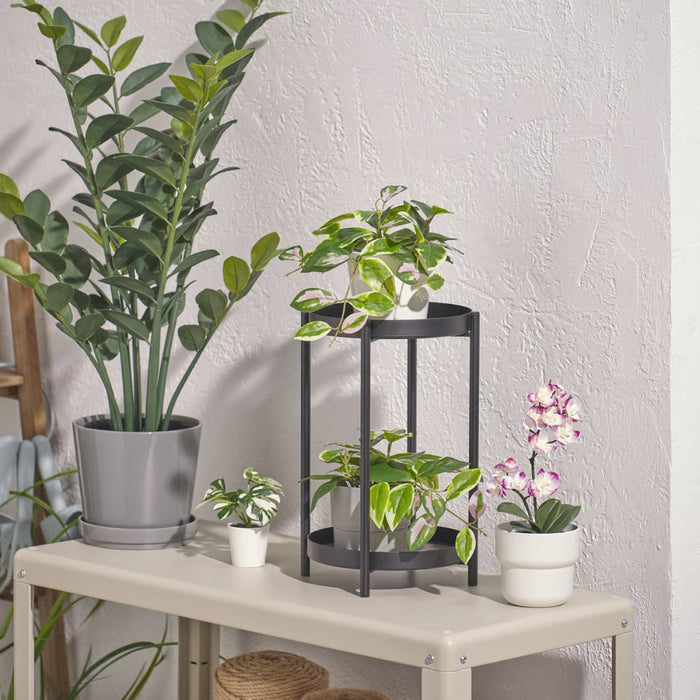 IKEA FEJKA artificial potted plant – wax plant displayed on tabletop with books, lamp, and abstract wall art - 90614226