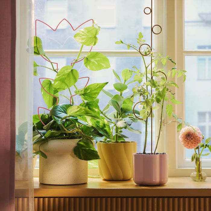 Yellow twisted plant pot on a bright windowsill with other colorful pots and a pink flower in a glass vase.