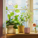 Yellow twisted plant pot on a bright windowsill with other colorful pots and a pink flower in a glass vase.