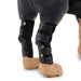 Small-sized blue pet leg strap walking support for dogs. Designed to provide stable hind leg support with adjustable Velcro fastenings. Features breathable padding for comfort and reinforced material for durability. Ideal for post-surgery recovery, mobility assistance, and joint support-
92146012403981