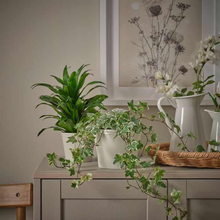 IKEA KÖRSBÄRSBJÖRK Plant pot, light grey-beige, 12 cm (4 ¾ ")