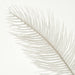 Close-up of a white feather on a light gray background